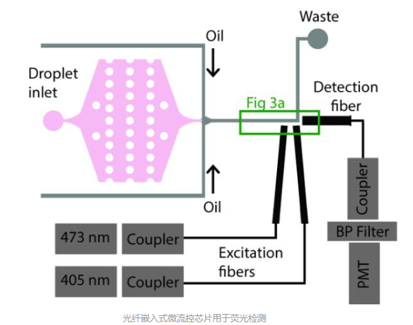 解析光纤嵌入式微流控芯片的制作过程