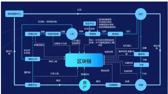 区块链浏览器怎么使用