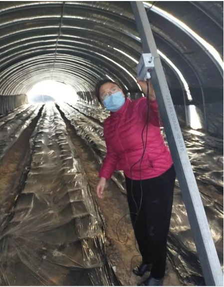 现代物联网科技助力“菜篮子”产品保供