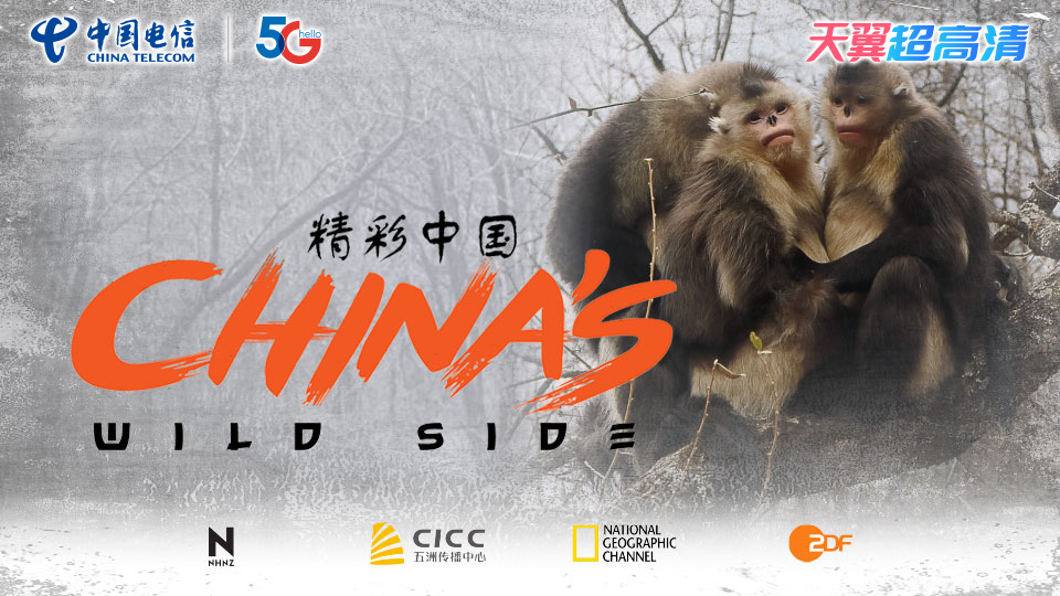 不用充会员?中国电信“好玩好看”免费送!