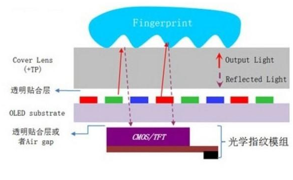 光学屏幕指纹的优势是什么，简述指纹识别原理