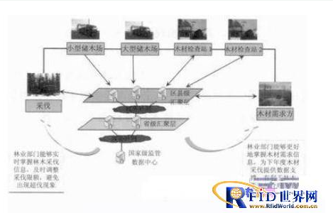 如何借用物联网技术来管理树木