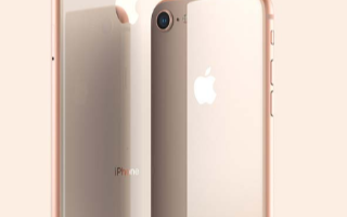 苹果iPhone 8当选年度假机排行第一位,另外...