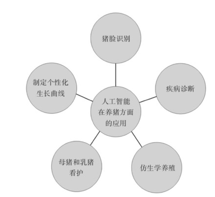 新基建可以解决哪一些痛点