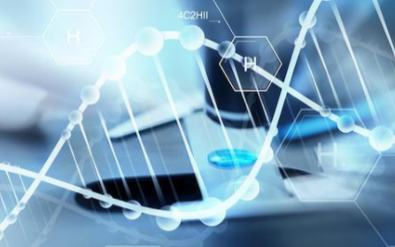 DNA存储技术将是未来可持续存储的发展方向吗