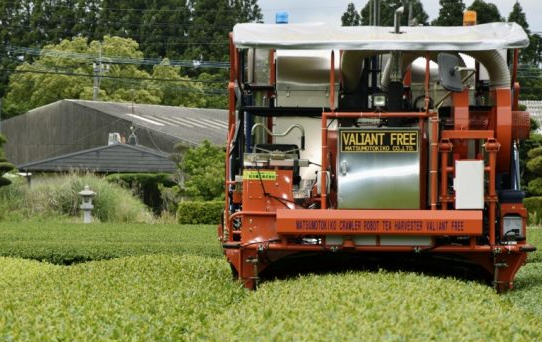 日本面向农业采茶推出了基于AI技术的无人采茶机