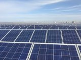 印度进口自中国的太阳能电池和组件价值急剧下降 受...