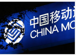 中国移动已实现了50个集团级应用示范项目落地