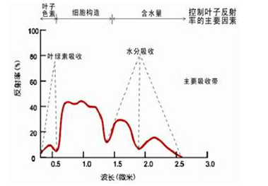 無人機(jī)在農(nóng)業(yè)檢測(cè)過程中的應(yīng)用原理解析