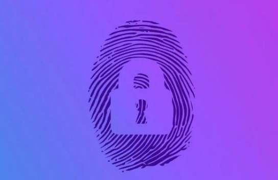 指纹触控技术对于汽车来说是必不可少的吗