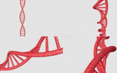 关于太赫兹辐射在医学领域中的应用分析