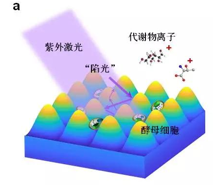 新型高效抗反射金属材料实现激光解吸附离子化质谱分析