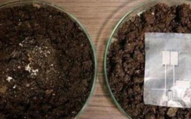 纳米纸制电子信息传感器的特别之处