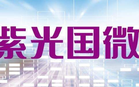紫光国微在中国的地位最具潜力的安全芯片领导者