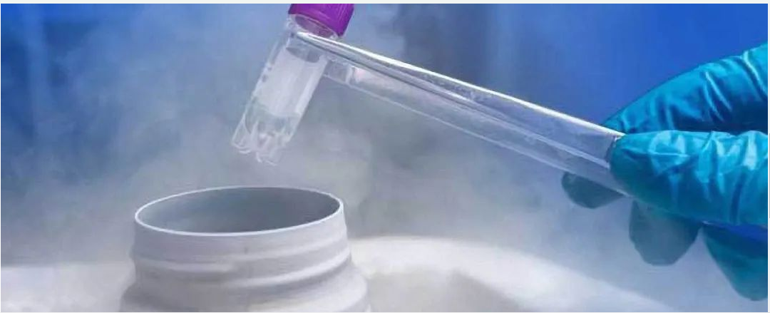 耐低温RFID电子标签可以用在哪一些物联网场景
