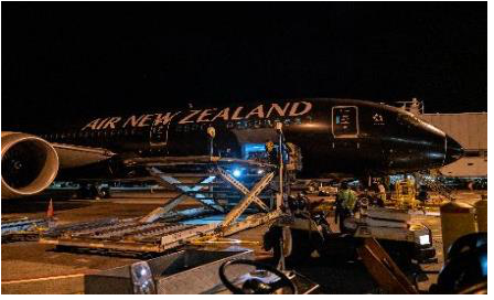 新西兰航空正式开启了客转货模式
