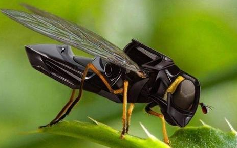 研究人员开发出机器人昆虫