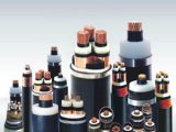 浙江亙古電纜因產品試驗檢測不合格被處予暫停招標采...