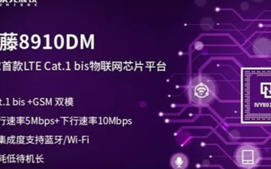 国内首个国产芯Cat 1模组完成运营商测试入库,...