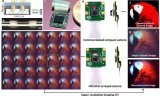 韩国科学家研发超薄阵列昆虫眼摄像头