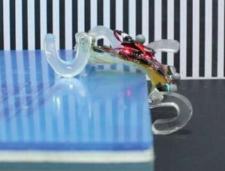 用軟材料制成的微型四足機器人,或能用于檢查狹小空...