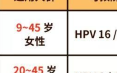 冷链保温箱在疫苗运输中的应用