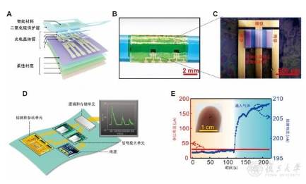 复旦大学利用柔性薄膜组装集成芯片传感器,实现多环...