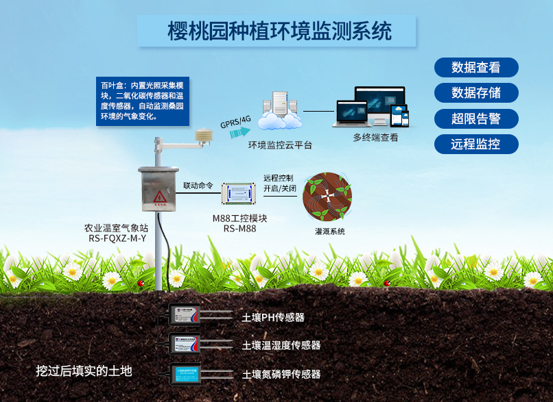 智慧溫室櫻桃種植農業園區解決方案_農業示范園區解...
