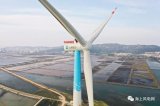 平价时代渐行渐近,中国风电来到了“凌云渡口”
