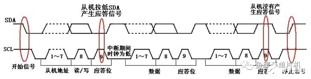 主机通过发送设备地址后由应答位确定该设备是否存在