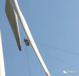 常见的叶片检查方法有四种