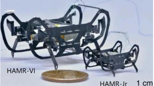 HAMR-JR微型机器人世上速度最快的机器人