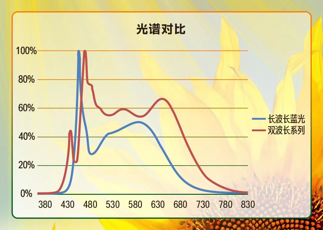 国星光电