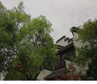 為什么華為身上有著鮮明的美國性?