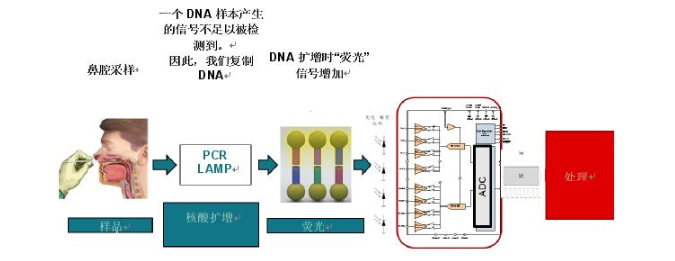 利用分子检测技术帮助医生更快、更准确地进行患者诊...