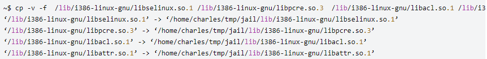 虛擬機(jī)：Linux或Unix系統(tǒng)使用chroot