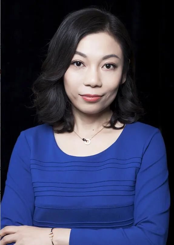 未来十年 宏杉科技将打造无界存储 电子发烧友网