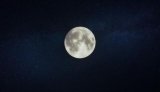 通过虚拟睡眠刷新神经网络