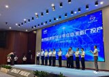 积塔半导体临港新厂正式投产