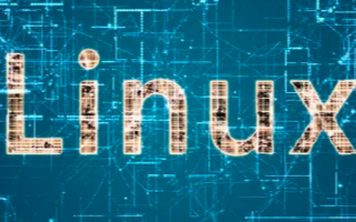 Linux创建者说,我不再编写任何代码