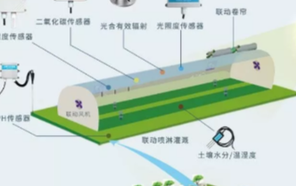 通过智能温室大棚控制系统来实现农业的增收