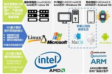 5G的商用进一步推动了IoT的高速发展
