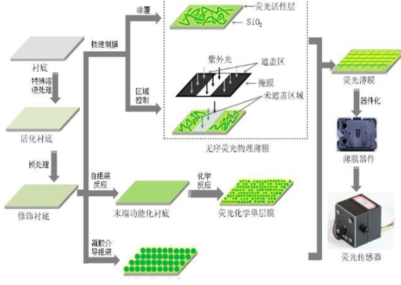 新型传感技术 薄膜基荧光传感