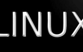 Linus Torvalds:Linux内核、社...