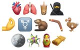 iOS 14和Android 11將于今年秋天帶...