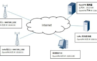 为远程管理LoRaWAN网关配置OpenVPN ...