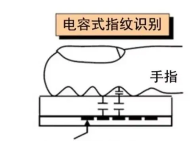 解析市場上的指紋識別技術(shù)