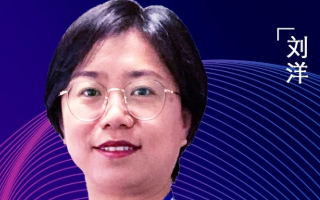 中国电信刘洋:垂直行业中的室内小基站应用探讨