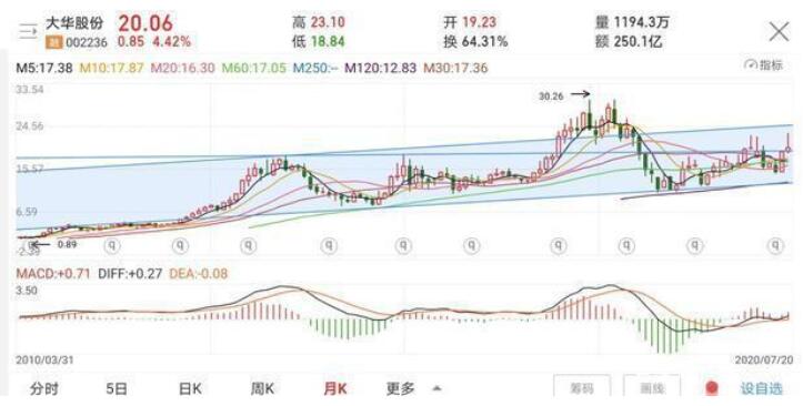 大华股份主要经营什么项目_大华股份未来市值