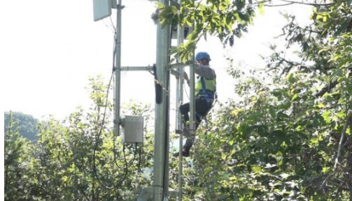 浙江移動創新“電商+”模式,努力做大“線上經濟”...